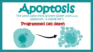 Download Apoptosis | Apoptosis in Pathological and Physiological context | Molecular pathway of apoptosis MP3