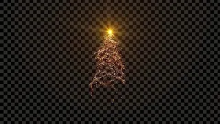 Transparent Christmas Tree With Snow Stock Motion Graphics
