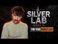 The Silver Lab - Week 3