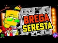 Download Lagu BREGA E SERESTA 2025 AS MELHORES - PLAYLIST AS MAIS TOCADAS TIKTOK 2025 - SELEÇÃO BREGA PRA PAREDÃO