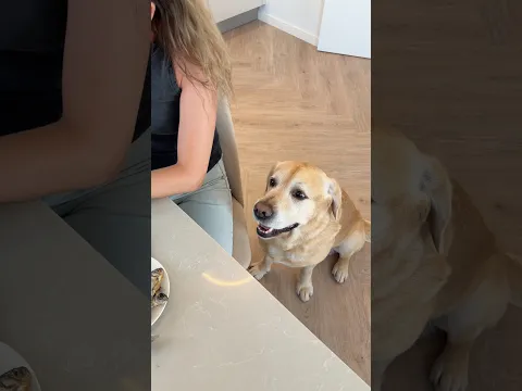 Обленились ребятки😁