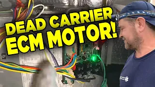 Help Carrier Infinity Blower Communication Error 44 - Dead ECM Motor Replaced w PSC QwikSwap V3