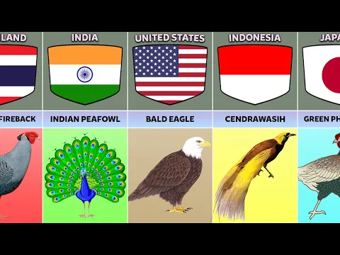 Download MP3 National Birds From Different Countries