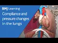 Basics of ventilation Compliance and pressure changes in the lungs