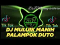 Download Lagu DJ MINANG TERBARU 2023 ll MULUIK MANIH PALAMPOK DUTO ll TIK TOK VIRAL 2023 FULL BASS EFYPE