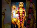 VETRI VEL MURUGA.