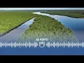 Download Lagu Uma conversa com Miriam Leitão sobre seu novo livro, 'Amazônia na Encruzilhada' I AO PONTO