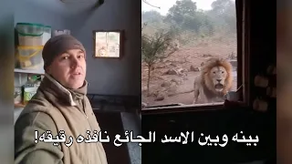 رجل تفاجئ ب  اسد يزمجر ينتظره خارج كوخه البسيط   دندنها