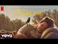 Download Lagu Nate Ruess - Simple Sound of Morning | The Starling (Soundtrack from the Netflix Film)