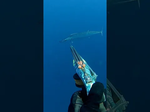Fuí a pescar SOLO en alta mar y pasó esto...
