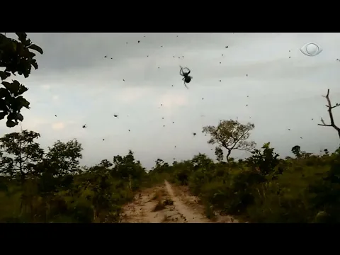 Vídeo do YouTube