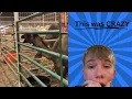 Exotic auction with crazy animals