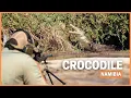 Lagu Krokodillenjacht in diepe rivieren: een confrontatie met de kracht van de natuur