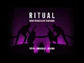 Tiësto, Jonas Blue, Rita Ora - Ritual (Benny Benassi & BB Team Remix)