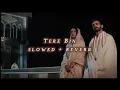 Download Lagu Tere Bin | Meet01 LOFI Song| {slowed + reverb} | Wahaj Ali, Yumna Zaidi |
