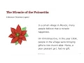 The Miracle of the Poinsettia - a Wordville Reading Comprehension Story