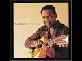 Muddy Waters - Baby Please Don't Go