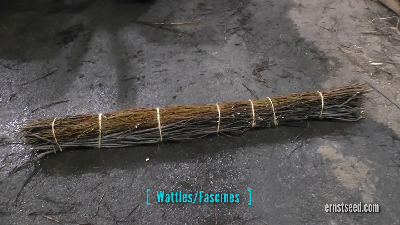 Bioengineering Materials - Video 3 of 3 - Types of Bioengineering Materials