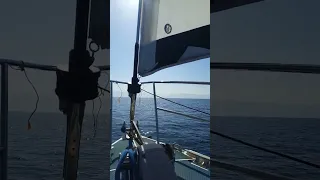 Thongs only! Winter sailing in Canada…