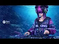 エビカニクスを「重低音ハウス」に改造したらすごく踊れる【AIカバー】