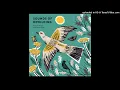 Sounds of Rewilding - Night