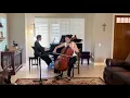 Download Lagu Schubert - Arpeggione Sonata, D.821, 1st movement, Edelweiss Pak