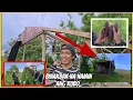 Download Lagu Binakbak na namin ang kubo