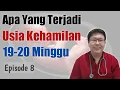 Download Lagu USIA KEHAMILAN 19-20 MINGGU (eps 8) - TANYAKAN DOKTER