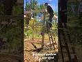Raising the Bar Crafting the Perfect Perch for Your Deer Blind
