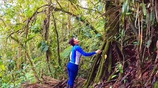 Colombia. Hiking with friends high in Putumayo mountain jungle, planting trees and a fireplace