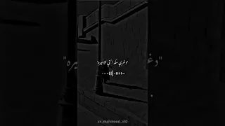 مهرجان شقلطوني في بحر بيره حمو بيكا حسن شاكوش موسيقي والحان فيجو الدخلاوي 2019 