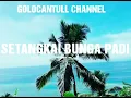 Lagu DANGDUT MIX PALING TERBAIK✓ SETANGKAI BUNGA PADI