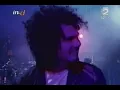 Porter - Daphne (Rockampeonato 2006)