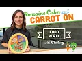 The Healthy Food Plate Game Win at Nutrition Our Registered Dietitian Explains It All