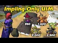 13 250 High Tier Implings For Our Best Method - Impling Only UIM