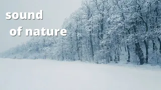 Download Snowstorm Blizzard Wind Sounds | for Sleep, Study and Relaxation MP3