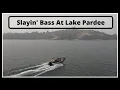 Slayin Bass At Lake Pardee