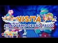 Lagu Galeria PP | Carrossel Animado: Patati Patatá Visita o AQUÁRIO DE SÃO PAULO (VÍDEO EXTRA)