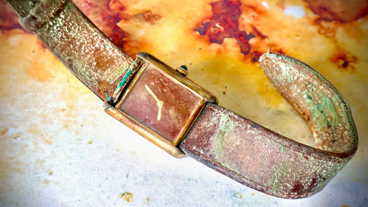 Star Trek - Horizon: Full Film