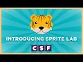 Introduction to sprite lab