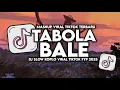 Download Lagu DJ TABOLA BALE SLOW VIRAL TIKTOK FULL SONG MAMAN FVNDY 2025