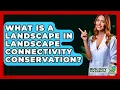 Download Lagu What Is A Landscape In Landscape Connectivity Conservation? - Biology For Everyone