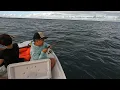 Hilo bay fishing by break wall