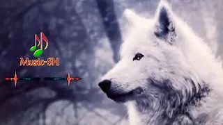 ريمكس استكنان تركي      موسيقى الذئب      دندنها