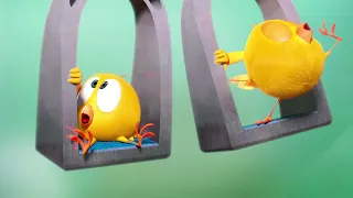 Where's Chicky? | Chicky is swinging! | A Xilam Series | Xilam TV