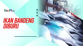 Penjual Ikan Bandeng Rawa Belong Panen Cuan saat Imlek