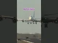 Download Lagu Pilot TALKS Birds Off the Runway 😳