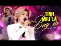 Download Lagu TÌNH NHƯ LÁ BAY XA - VICKY NHUNG thổi làn gió mới cho top hit đình đám của JIMMY NGUYỄN | Live Stage