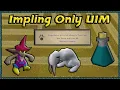 Lucky Implings Unlocked - Impling Only UIM