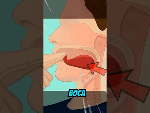 Cómo silbar súper fuerte? 😱💨